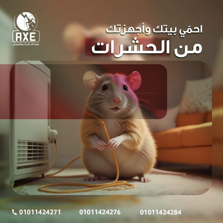 Why do customers trust AXE Germany for rat and rodent control?