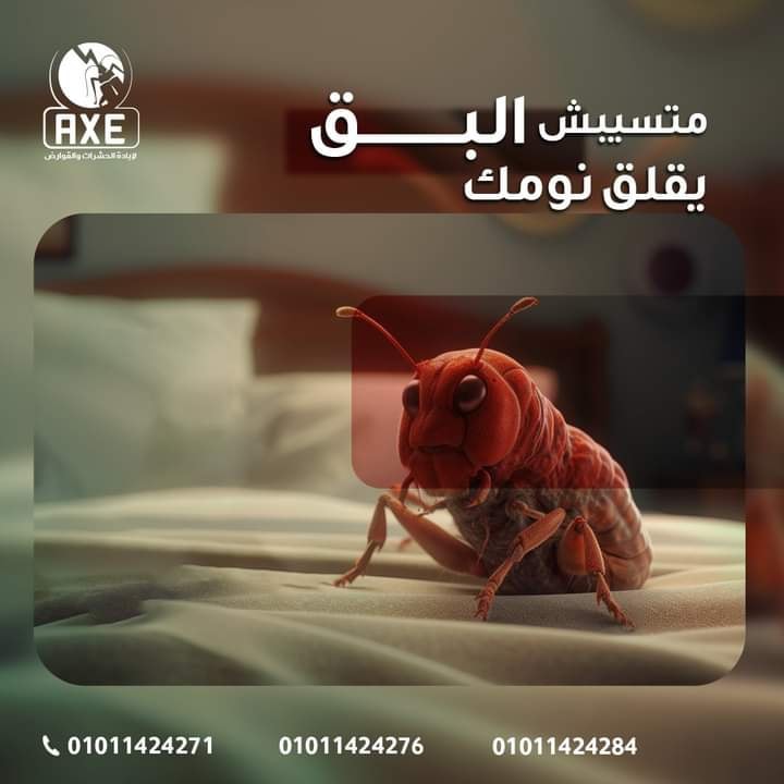 AXE Germany, specializing in bed bug and cockroach control.